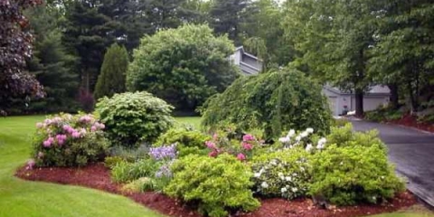 Najbolje ukrasno drveće i grmlje za baštu